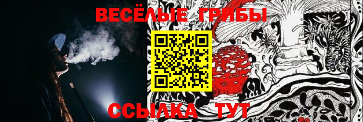 Галлюциногенные грибы GOLDEN TEACHER Павловский Посад